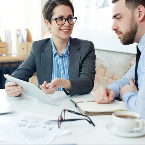 IT Project Consultancy - ERP Development